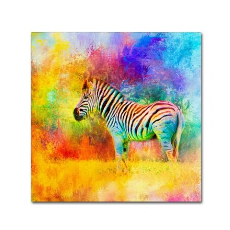 Trademark Fine Art Jai Johnson 'Jazzy Zebra' Canvas Art, 24x24 ALI15050-C2424GG